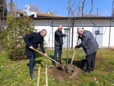 Тихомир Янакиев засади първото дърво в мащабна залесителна акция в Созопол