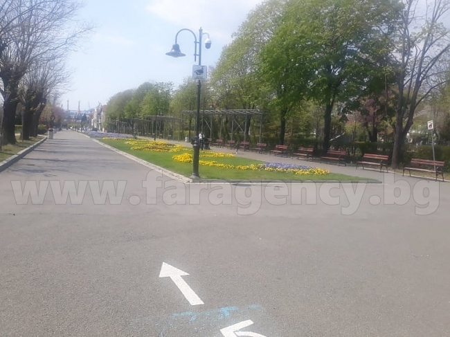 В парковете като в лабиринт – ще следим стрелки по алеите