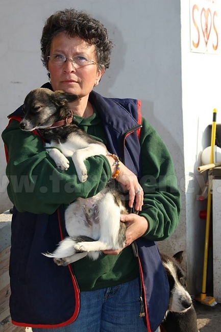 Маргарита Пеева, приют „Animal SOS“: Във всяка криза домашните животни са първите жертви на човешката природа