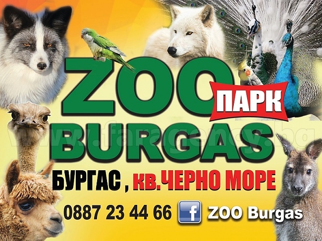 На 1 юни бургаският зоопарк ще е с безплатен вход за деца