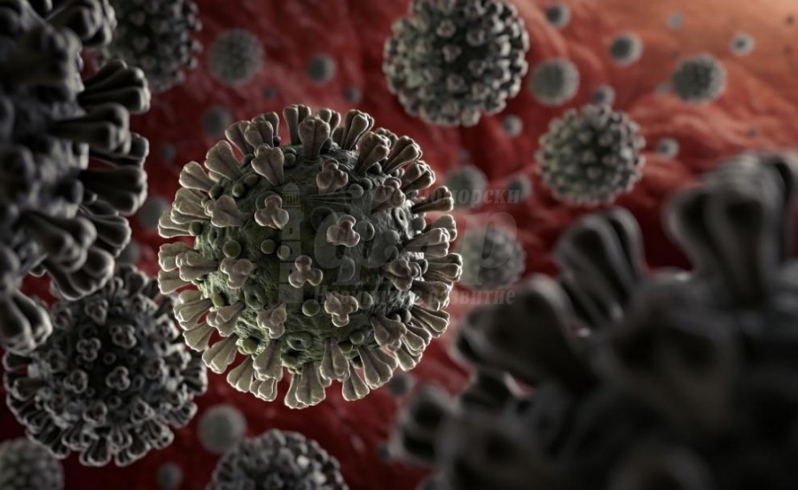 330 са случаите на коронавирус от последното денонощие, 5 са в Бургаско