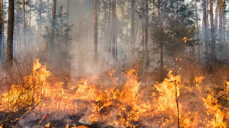 ВАЖНО! Половин България е с риск от пожари заради жегите и вятъра