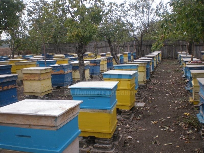 Кредити за над 500 000 лева получиха пчеларите по НПП