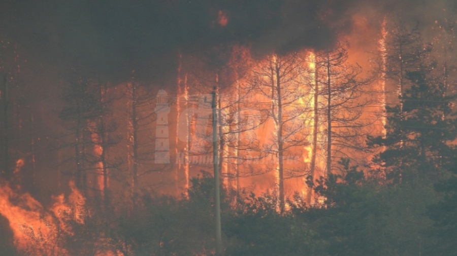 Пожароопасни жеги в 6 области от страната днес
