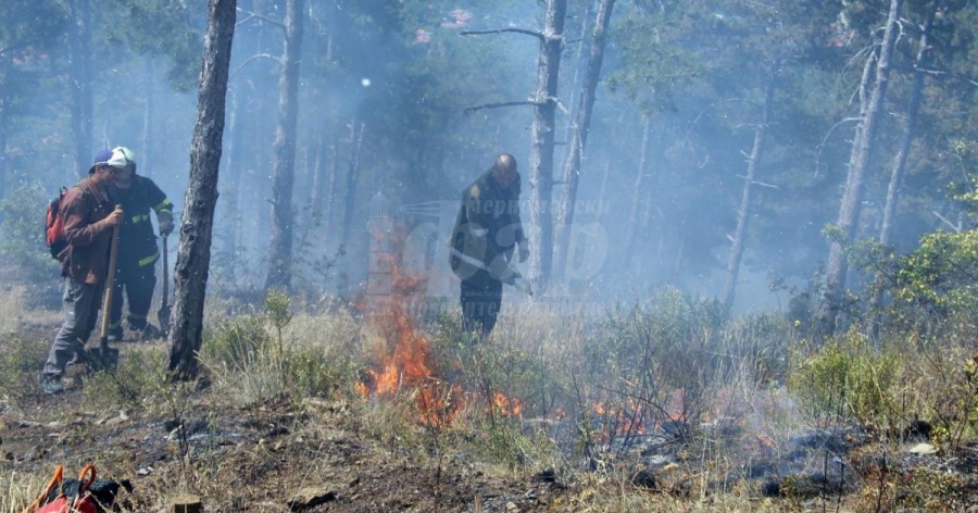 Висока опасност от пожари днес в Бургаско
