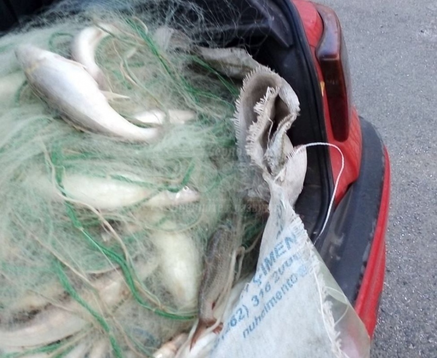 Хванаха кола с незаконно уловена риба в Горно Езерово