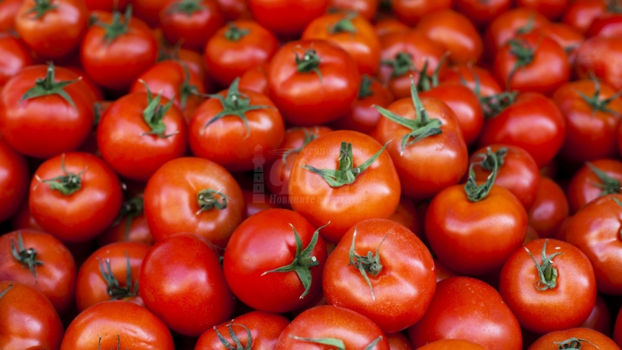 Ядем по-малко домати от европейците