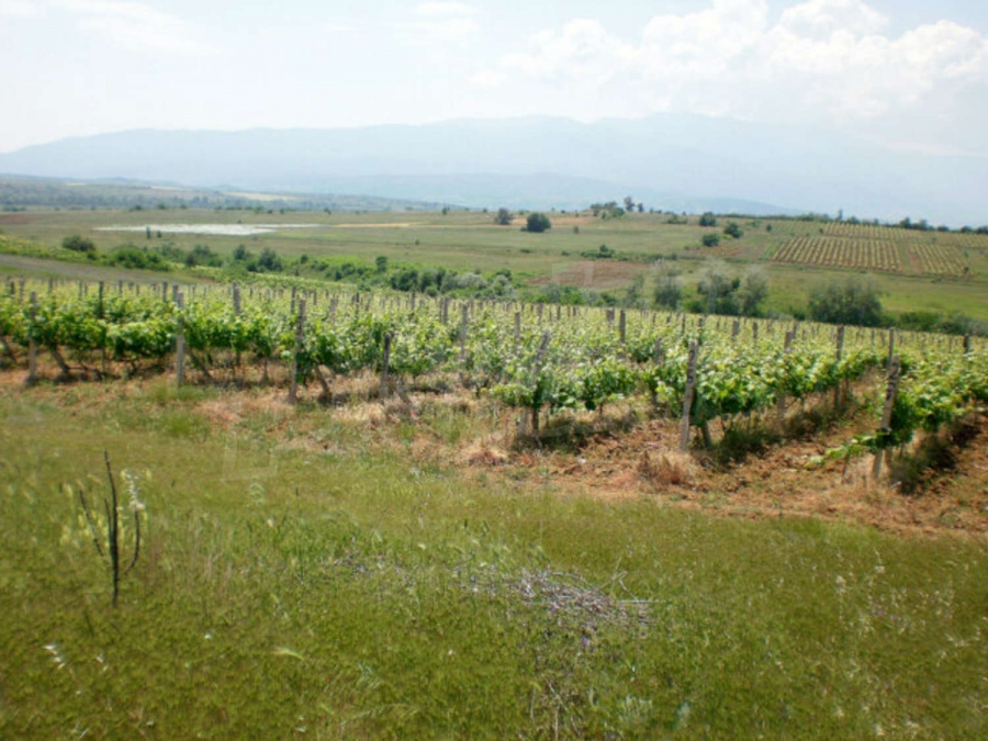 В Бургаско продажбата на земя е намаляла