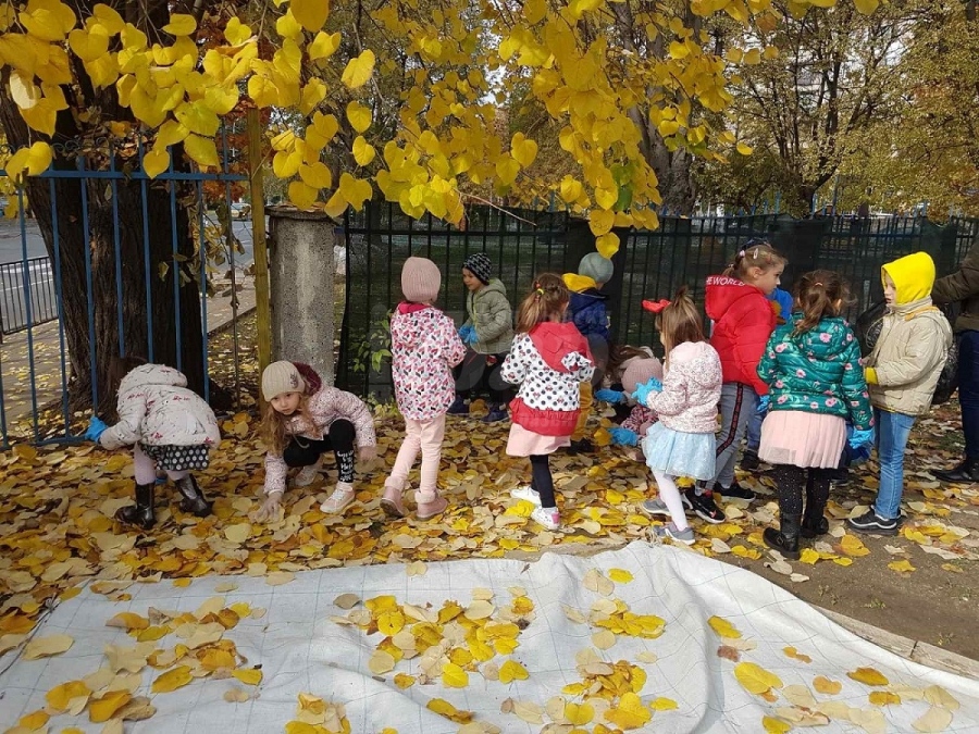 По примера на Швеция и Германия: Бургаските детски градини ще компостират листата на двора