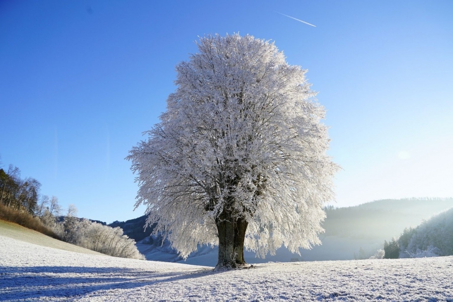 Климатолог прогнозира ще има ли сняг за Коледа