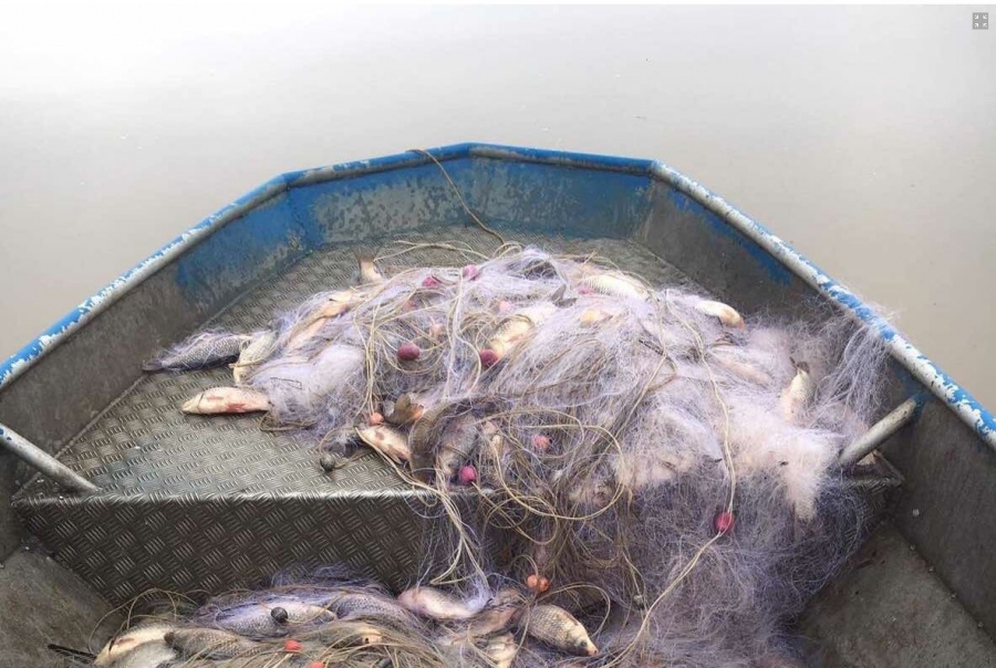 Дариха 140 кг. риба на дома за деца с увреждания в Атия