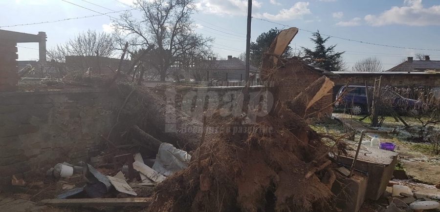 Паднали дървета нанесоха материални щети в Сунгурларско 