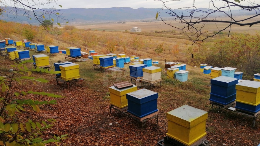 Само чрез електронна платформа пчеларите ще разбират кога ще се пръска