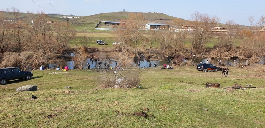 Рибата изби край село Зидарово, кълвяло дори и на асфалта (СНИМКИ)