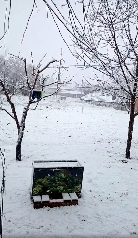 В Сунгурларско вали сняг на парцали