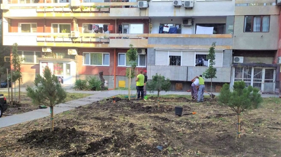 Засаждат стотина млади дървета в бургаски комплекси