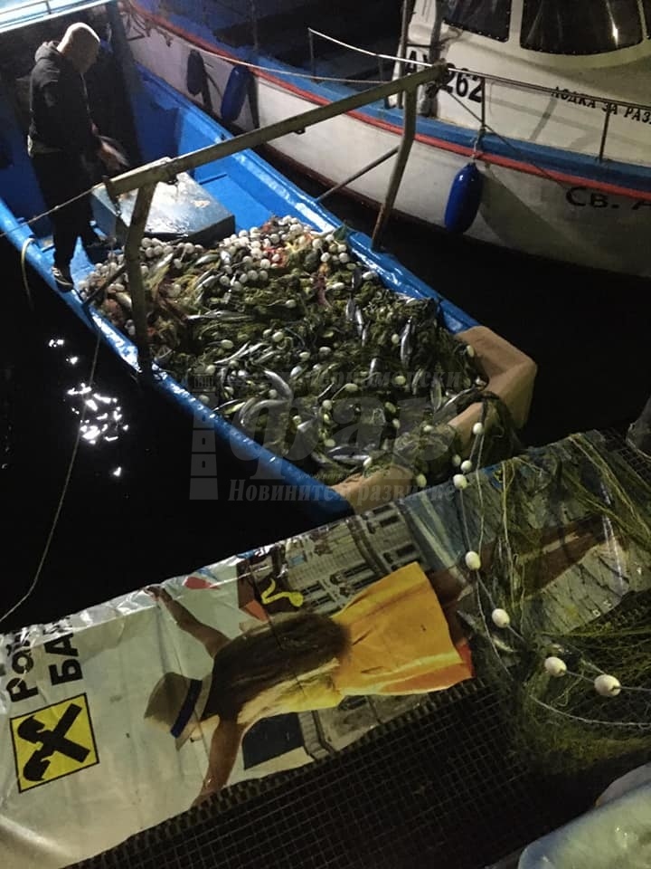 Ахтополските рибари напълниха лодките с паламуд и лефер
