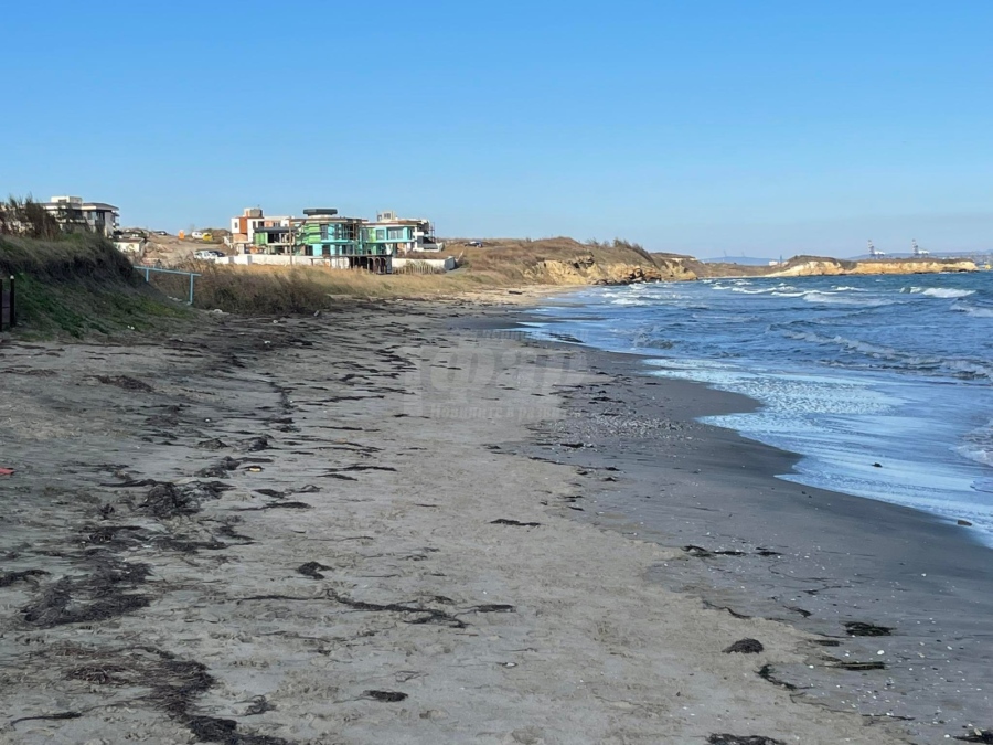  Климатични аномалии изяждат от 2 до 5% от морските плажове на година 