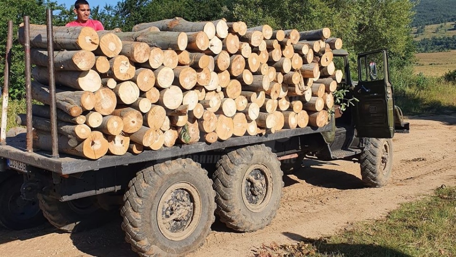Жители на Община Созопол се жалят – не са получили дървата си