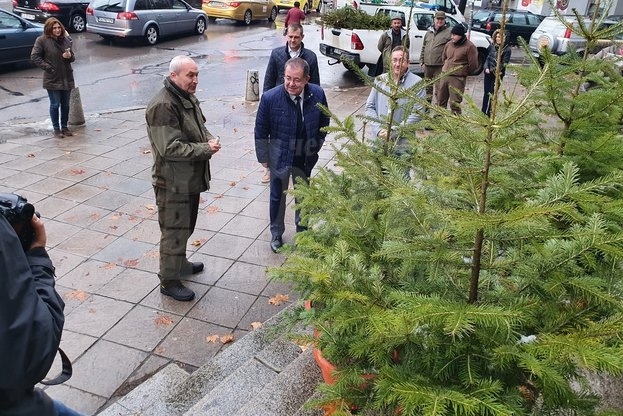 Национална кампания „Купи елхичка- помогни“ стартира под егидата на МЗХГ