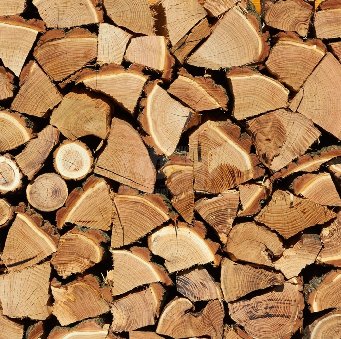 Около 85% от населението в Община Созопол е получило дърва