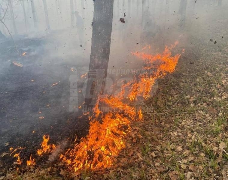 Пожарът в местността „Червената пръст“ е потушен
