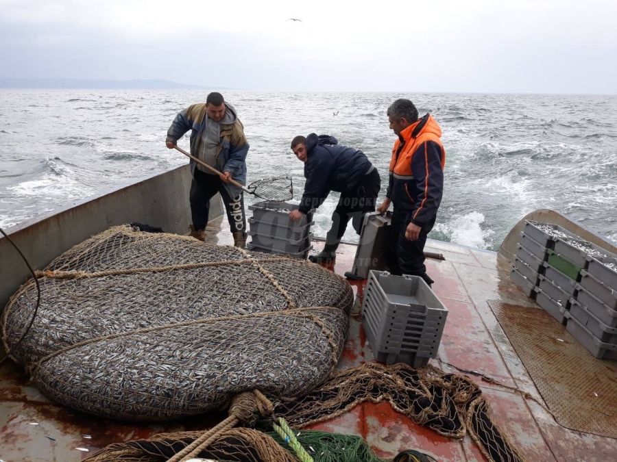 Рибарският сектор очаква финансова подкрепа заради мините