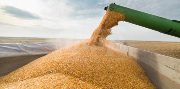 Русия и Украйна се спогодиха за зърното 