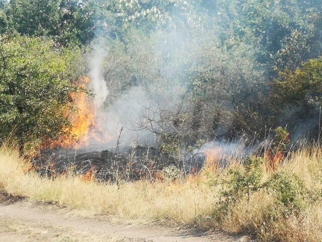 Отново пожар около Бургас 