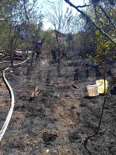  Вижте какво остана след пожара във вилна зона Росенец