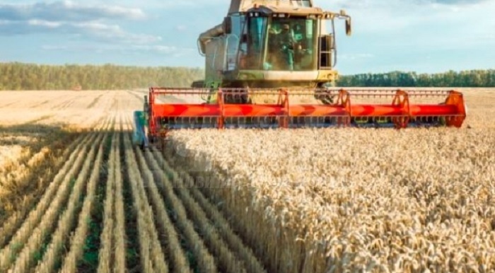  Зърнопроизводители излизат на национален протест
