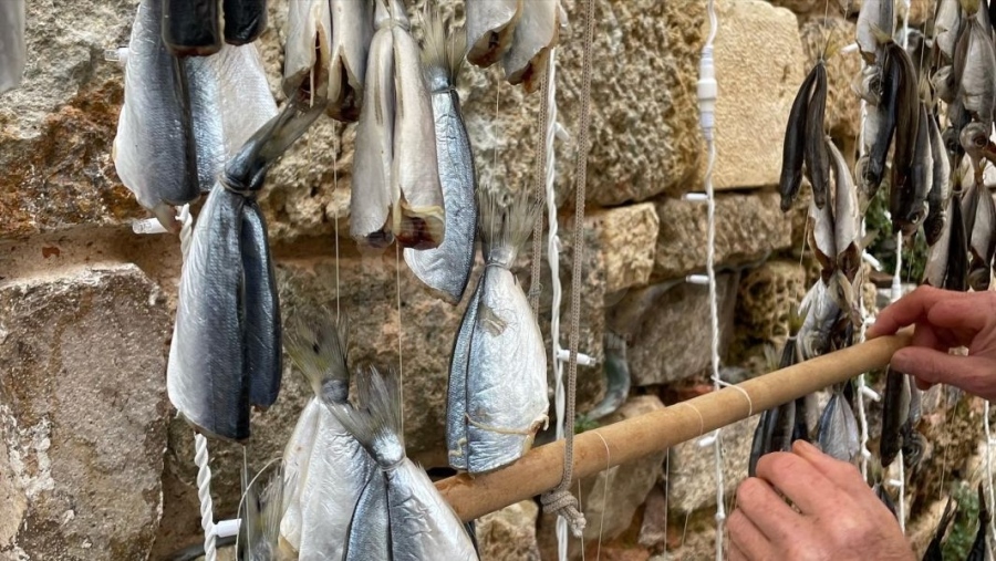 За втори път Празникът на „О-солената риба“ в Созопол събира любители  и топ кулинари