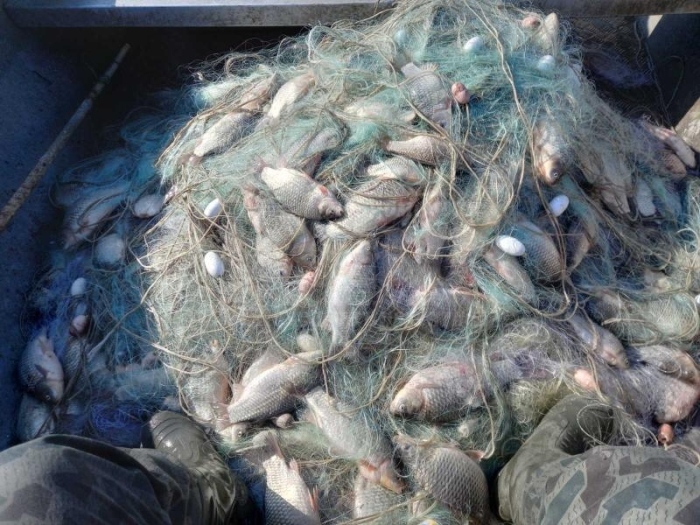 Извадиха 2 км бракониерски мрежи от езеро „Вая“