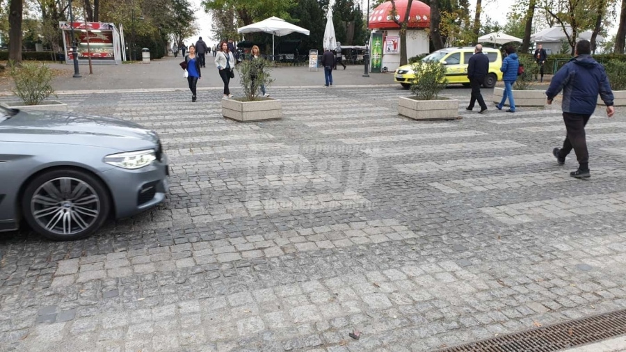 Община Бургас: Гъбка в Морската градина е имало и ще има 