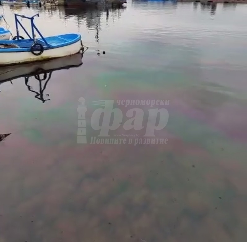Замърсяване с нефтопродукти в рибарското пристанище в Созопол