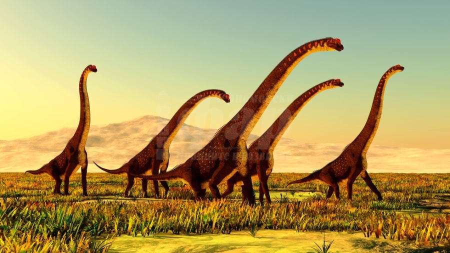 Учени откриха над 250 фосилизирани яйца на титанозаври