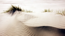 РИОСВ-Бургас извърши проверка по сигнал за разораване на дюни в Несебър