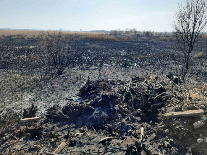 Пожар изпепели 30 дка тръстики до Поморийско езеро 