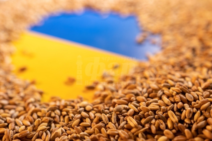 С три месеца се удължава забраната за внос на зърно от Украйна