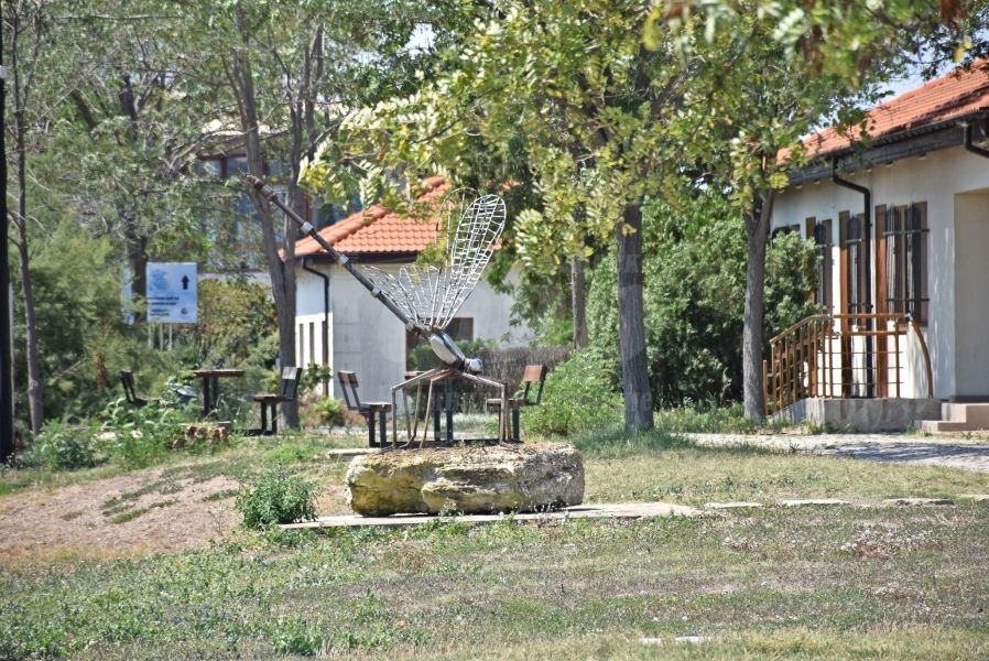 Грациозно водно конче „кацна“  до Музея на солта в Поморие