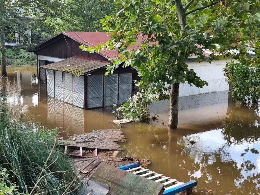 Сигнали за мародерство няма, органите на реда патрулират