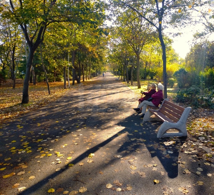 Нови пейки в парк „Езеро“, пазете ги