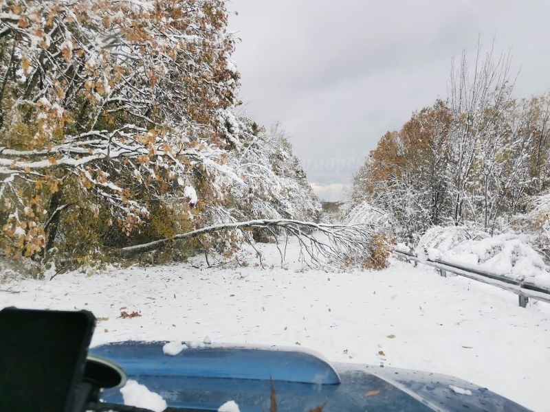 Закъсали автомобили на ГКПП Малко Търново
