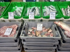  На пазара „Краснодар“ – изобилие от риба за Никулден 