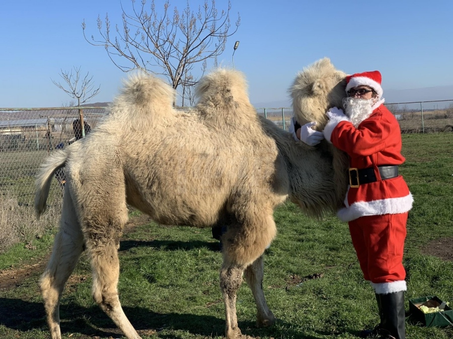 Три дни Коледни празници ви очакват в Зоопарк Бургас