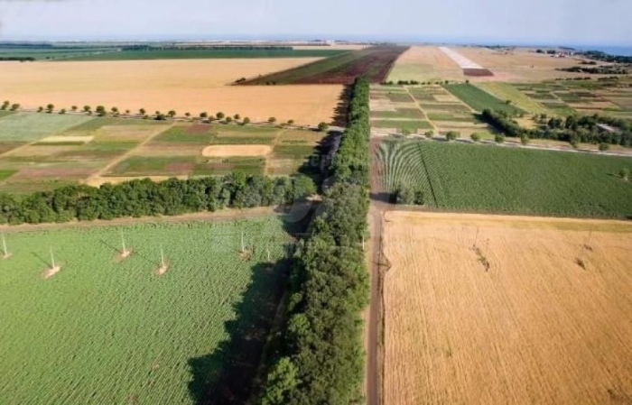  Европейският съд отмени ограниченията за закупуване на земеделска земя в България