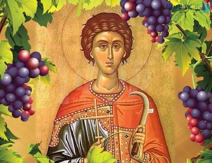 Почитаме Свети Трифон, покровител на лозарите, винарите и кръчмарите 