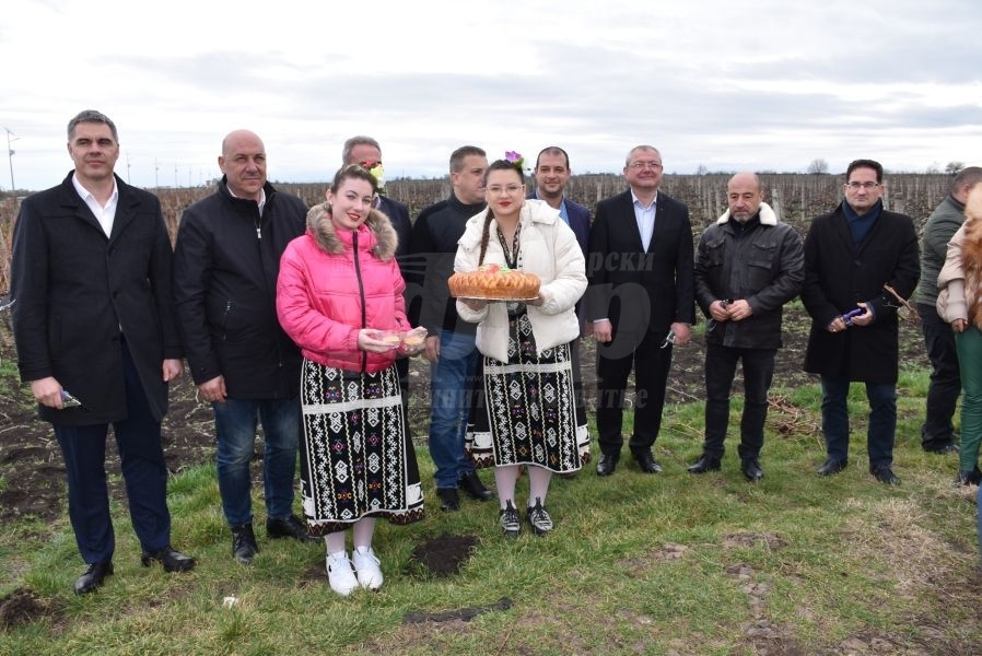 Поморие отбеляза Трифон Зарезан с празнична програма и ритуално зарязване на лозята