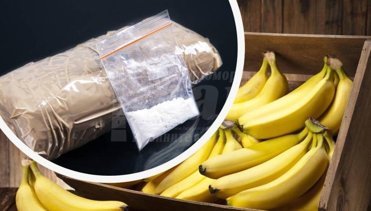 Откриха 170 кг кокаин в банани 