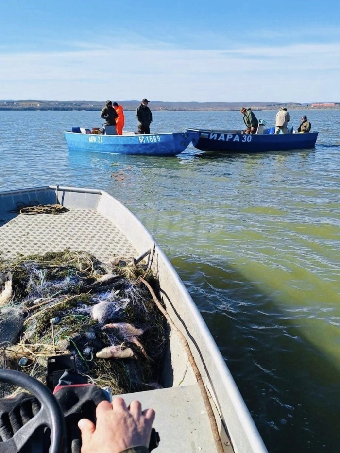 Със 700 килограма риба хранят обитаващите социални домове в Бургас, Варна, Добрич и Ямбол